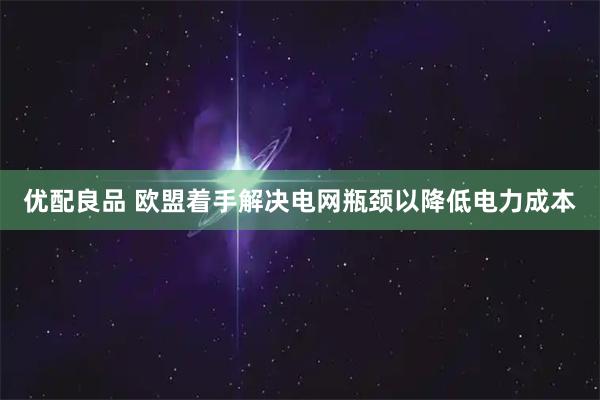 优配良品 欧盟着手解决电网瓶颈以降低电力成本