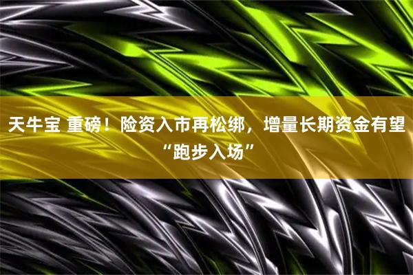 天牛宝 重磅！险资入市再松绑，增量长期资金有望“跑步入场”