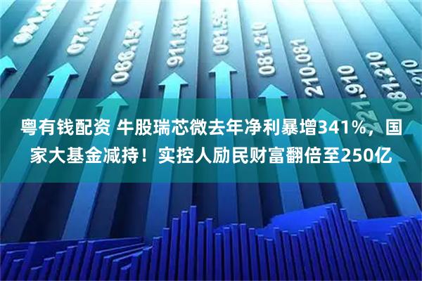 粤有钱配资 牛股瑞芯微去年净利暴增341%，国家大基金减持！实控人励民财富翻倍至250亿